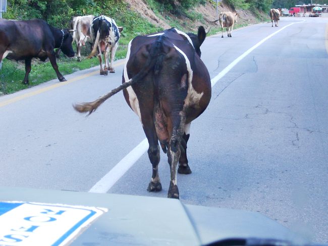 Bosnischer Strassenverkehr